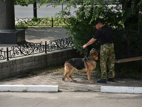 В центре Благовещенска неизвестный нашел способ как стянуть к ЗАГСу спецслужбы