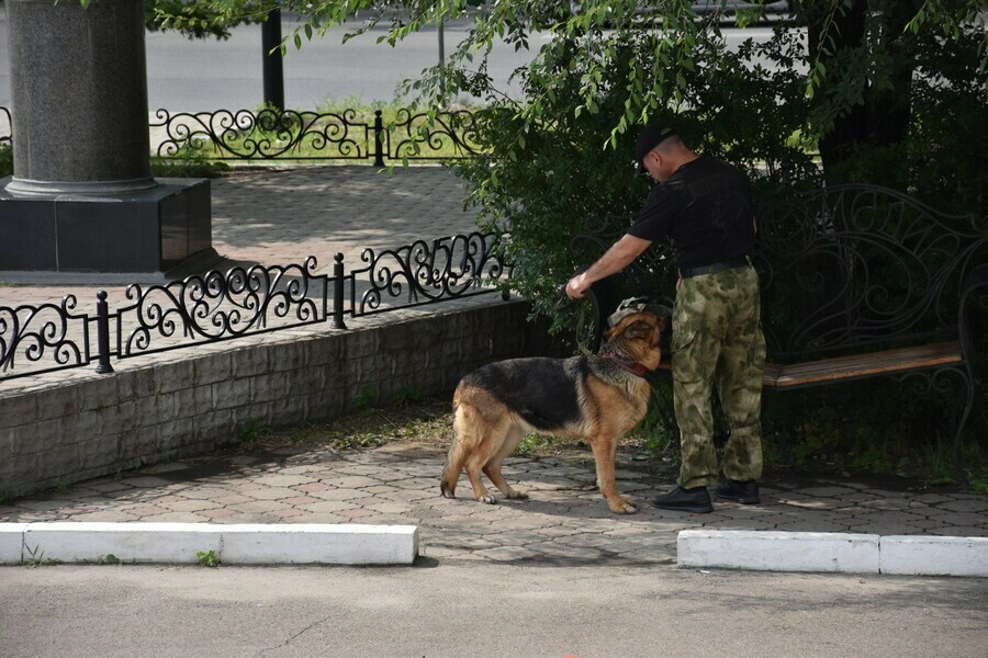 В центре Благовещенска неизвестный нашел способ как стянуть к ЗАГСу спецслужбы