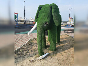С детской площадки на набережной Благовещенска забрали зеленого слона