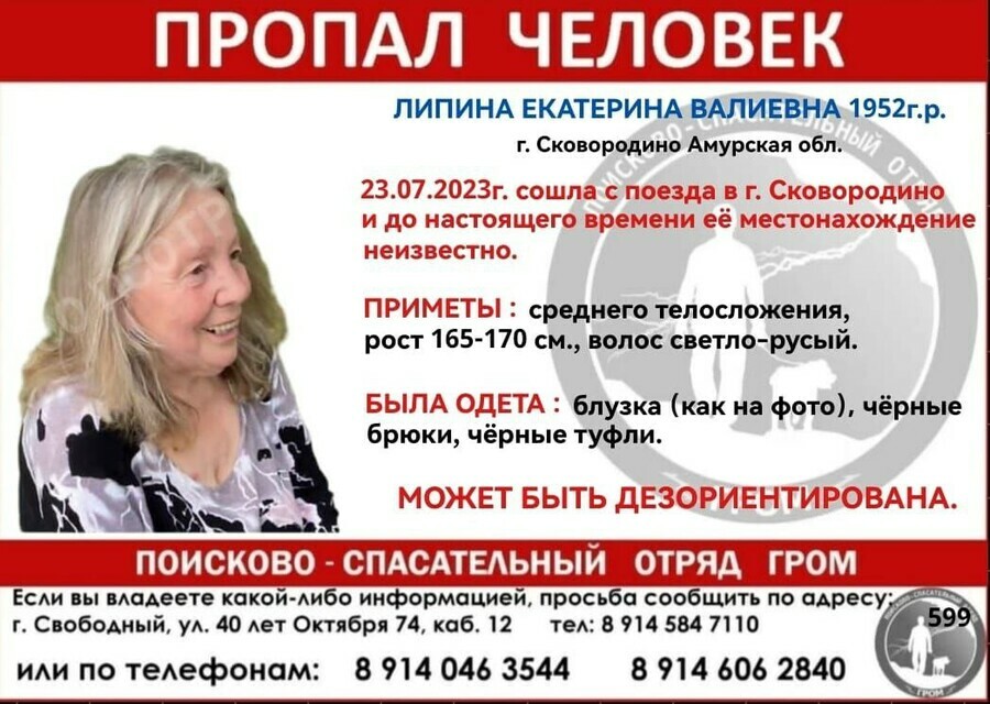 Жуткая история на станции Сковородино по ошибке из поезда вышла пожилая женщина из Владивостока и пропала