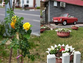 В Свободном на улицах распустились розы