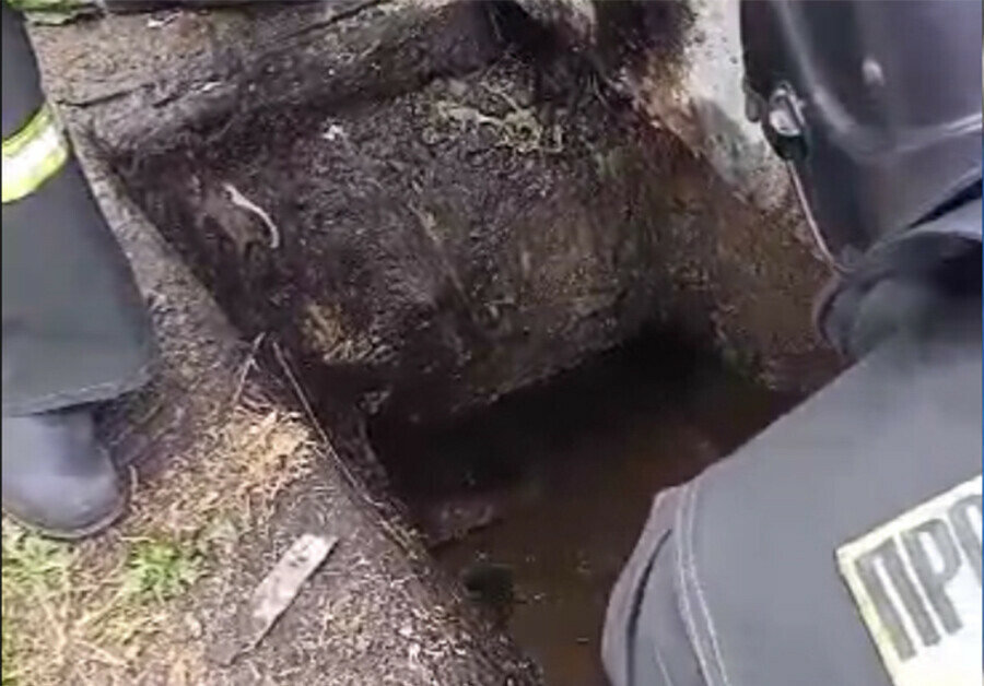 Упавшего в нечистоты амурчанина спас начальник пожарного караула видео