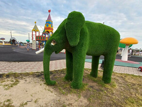 Зеленый слон еще постоит без бивня на детской площадке Благовещенска