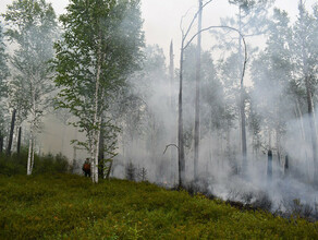 Пожарным удалось потушить возгорания в Норском заповеднике Амурской области