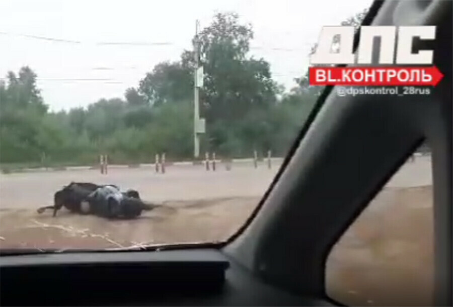 Парня на мопеде сбил автомобиль на Новотроицком шоссе Благовещенска видео