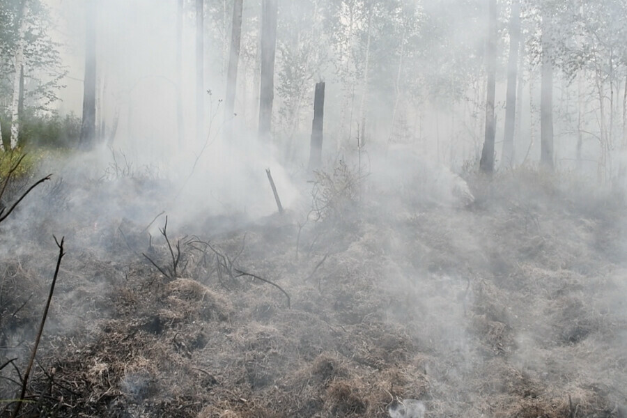 В Приамурье ликвидировали сразу пять природных пожаров Где еще регистрируются возгорания 