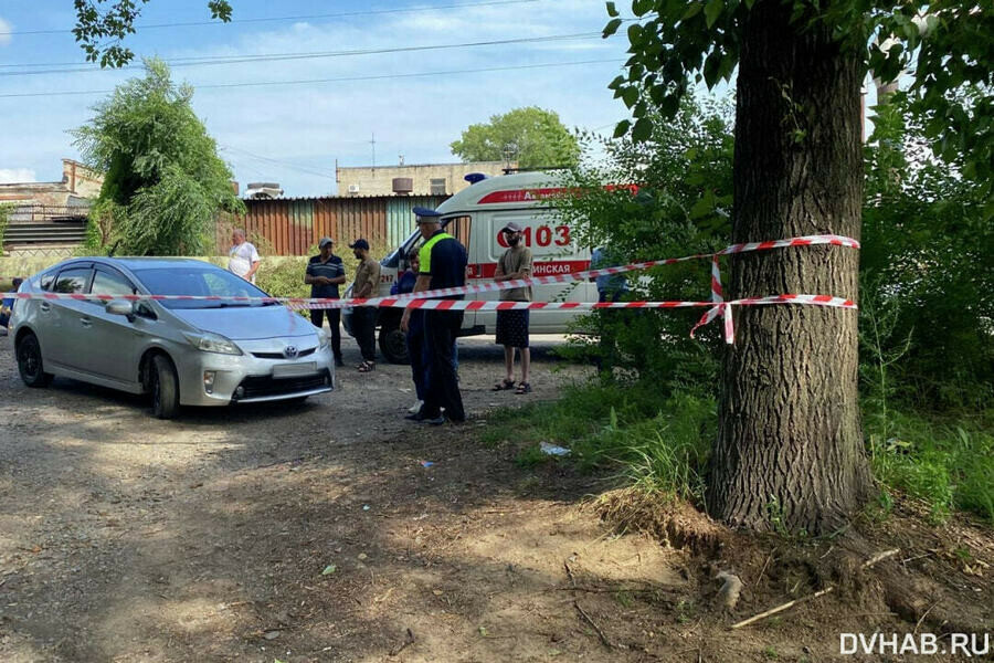 Prius сбил насмерть годовалую девочку во дворе 