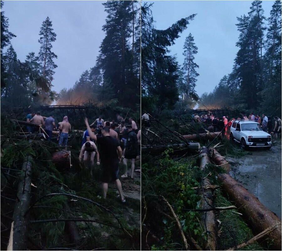 Буря валила деревья на палатки Три человека погибли