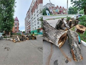 В центре Благовещенска опять спилили деревья В выходные ими завалили проезд