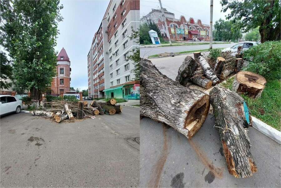 В центре Благовещенска опять спилили деревья В выходные ими завалили проезд