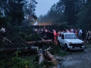 Лежат поломанные деревья Люди все в панике От бури в Марий Эл почти 70 человек пострадали 9 погибли