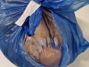 В Приамурье уничтожат 8 килограммов картофеля привезенного без документов из Китая
