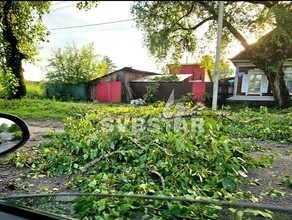 В Свободном прошел ураган Повалило деревья