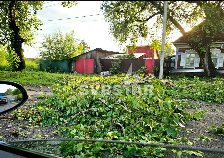 В Свободном прошел ураган Повалило деревья