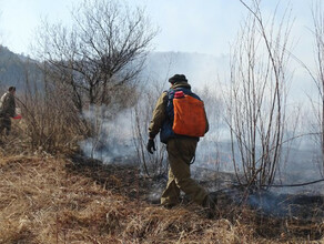Снят режим ЧС в лесах Амурской области установленный в связи с пожарами