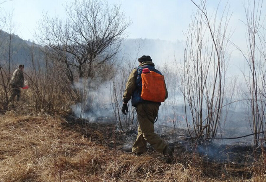 Снят режим ЧС в лесах Амурской области установленный в связи с пожарами