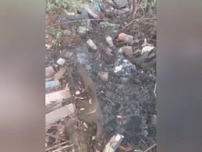 Жители Приамурья бьют тревогу изза нечистот которые сливают в озеро с лотосами фото видео 