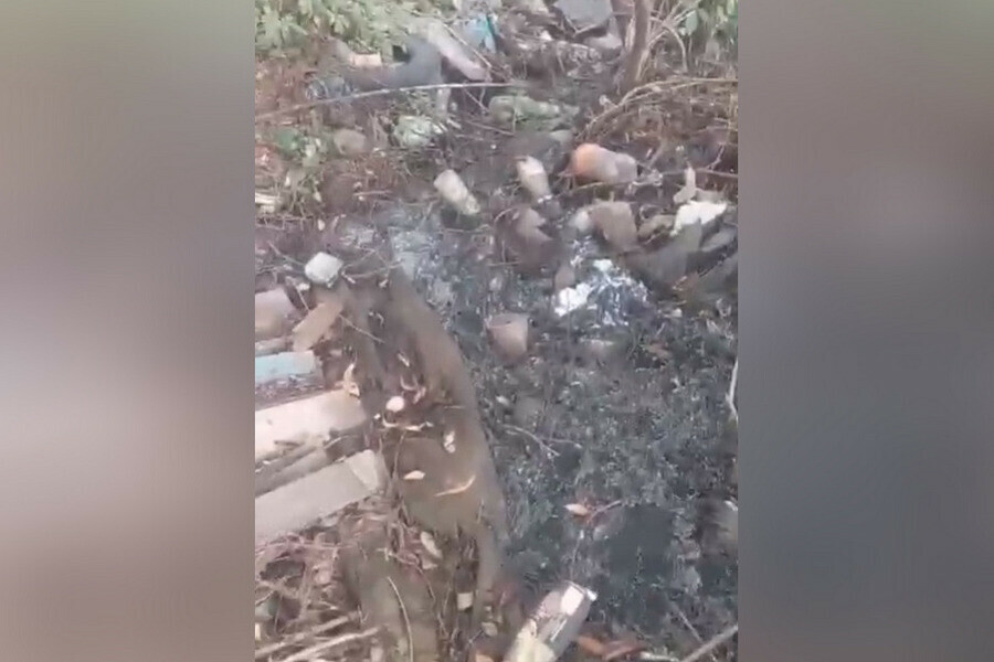 Жители Приамурья бьют тревогу изза нечистот которые сливают в озеро с лотосами фото видео 