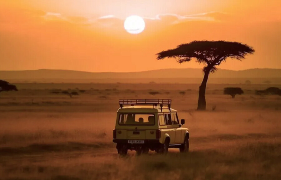 Эфиопия и Занзибар Африку назвали востребованным континентом для развития туризма