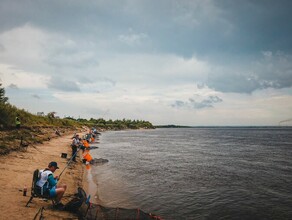 В Зее выловили больше тысячи рыб и выпустили их обратно