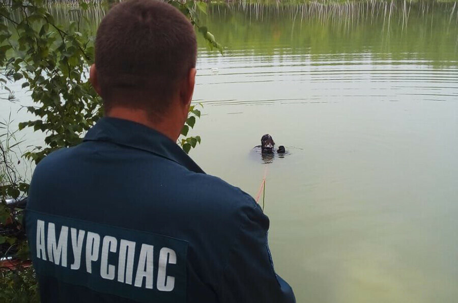 Обнаружено тело утонувшего в озере амурчанина фото
