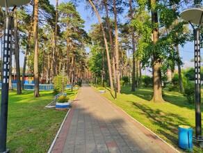 Ревизорро поамурски белогорский парк лучше 