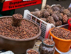 Кедровые орехи включили в перечень стратегически важных ресурсов Вывоз признают контрабандой