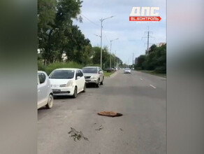 Благовещенцев предупреждают об открытом люке прямо на дороге