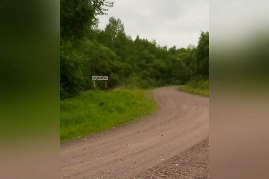 В Приамурье найден подросток которого искали более полусотни человек 