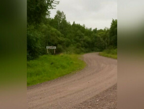 Скрывался в зарослях новые подробности поиска подростка озвучили в амурской полиции 