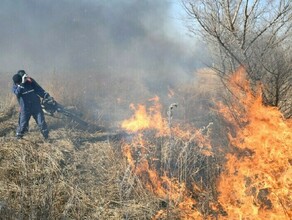 Амурчанин допустивший сильный пожар в лесу может быть осужден на 4 года