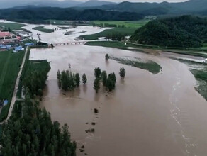 Тайфун будет бушевать в провинции Хэйлунцзян до 12 августа Чиновникам запретили отпуска