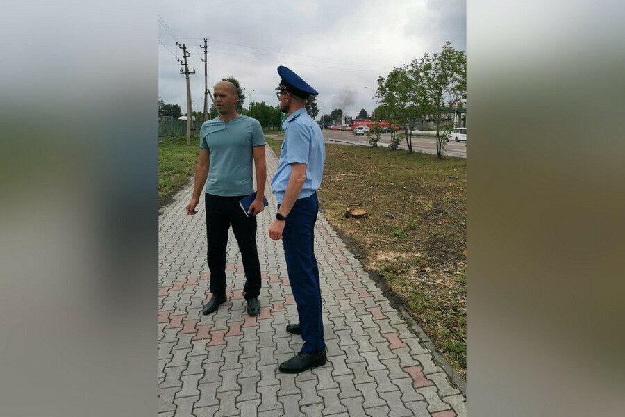 В Благовещенске на место где иностранцы вырубили деревья выехал зампрокурора города