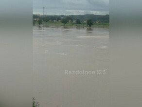 Река в Приморье поднялась настолько сильно что колышет провода ЛЭП видео