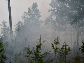 Все природные пожары в Приамурье ликвидированы Нет ни одной термоточки видео