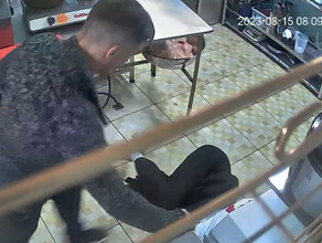 Задержан мужчина с  невероятной жестокостью избивший девушку в кафе