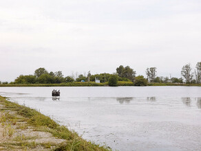 В Приамурье появилась идея  организовать на отремонтированной дамбе рыбное хозяйство