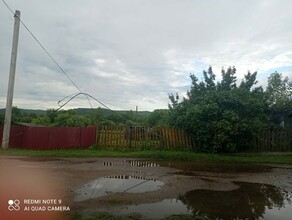 Валило деревья висят провода в селе Бибиково Благовещенского района прошел ураган