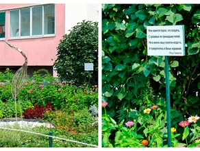 Сад памяти посвященный героям СВО получил Гранпри фестиваля цветов в Благовещенске