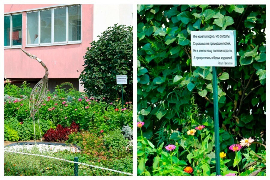 Сад памяти посвященный героям СВО получил Гранпри фестиваля цветов в Благовещенске