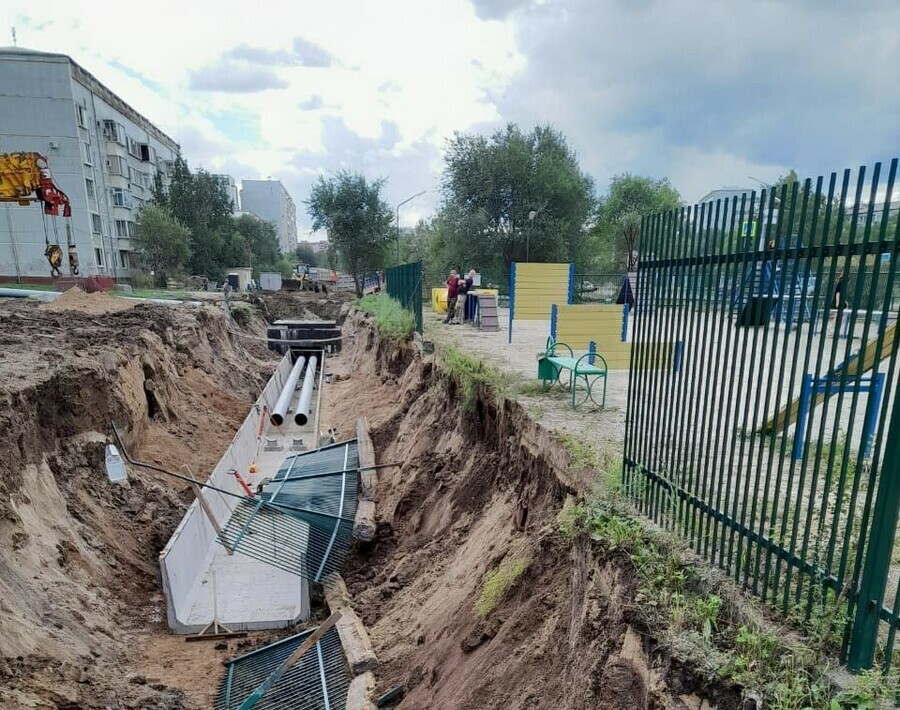 Мэрия поменяла решение о единственной площадке для выгула собак в Благовещенске В ближайшее время она будет закрыта