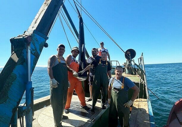 В дальневосточных водах поймали двух акул