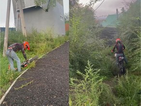 Не бойся Марсик Благовещенка с собакой на рассвете бесстрашно прогнала неадекватного мотоциклиста