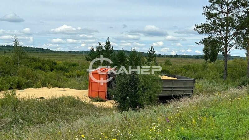 Возле амурской Новинки после взрыва колеса опрокинулся КамАЗ с соей