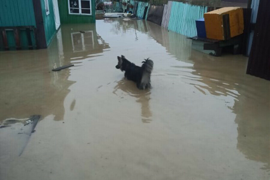 Я ливень такой в жизни не видел люди делятся эпичными фото и видео потопа с улиц ЮжноСахалинска