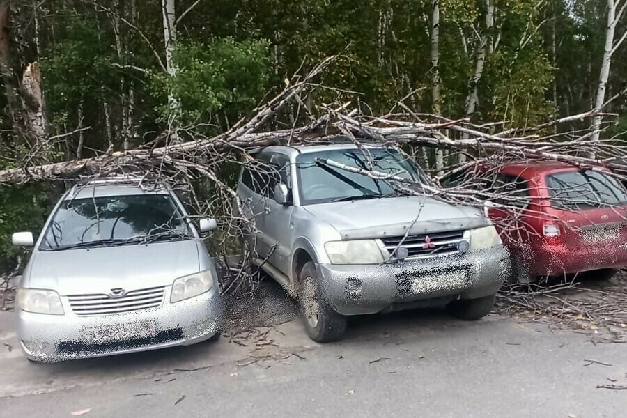 Сломанные ветки и выбитые окна штормовой ветер прошелся по Благовещенску и области фото