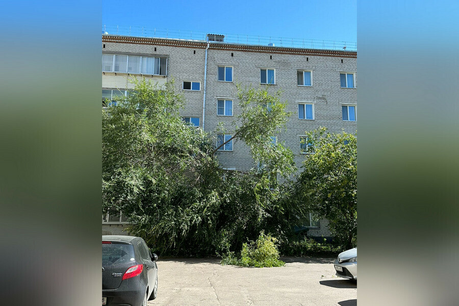 В Благовещенске ветер разогнался до 19 метров в секунду первые итоги циклона подвели амурские синоптики