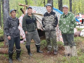 Оленей давят медведи Осыпается голубика Жители амурской тайги рассказали о проблемах и проголосовали за ширмой 