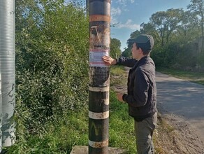 Он после аварии может быть дезориентирован ПСО Амур рассказал подробности поисков Владимира Дербана