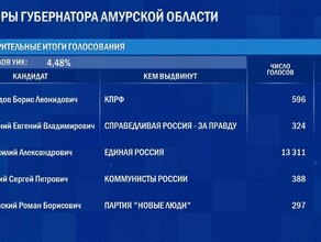 ЦИК опубликовал первые итоги выборов губернатора Амурской области